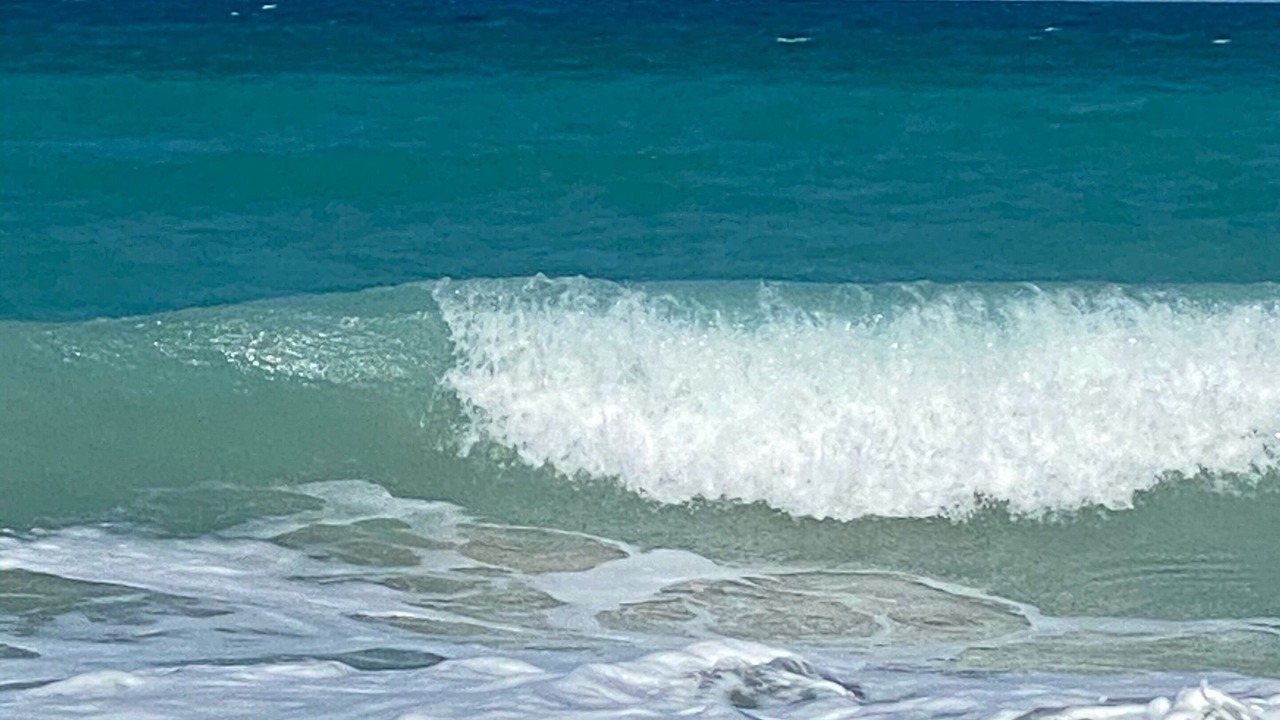 Photo of Others in Johns Island