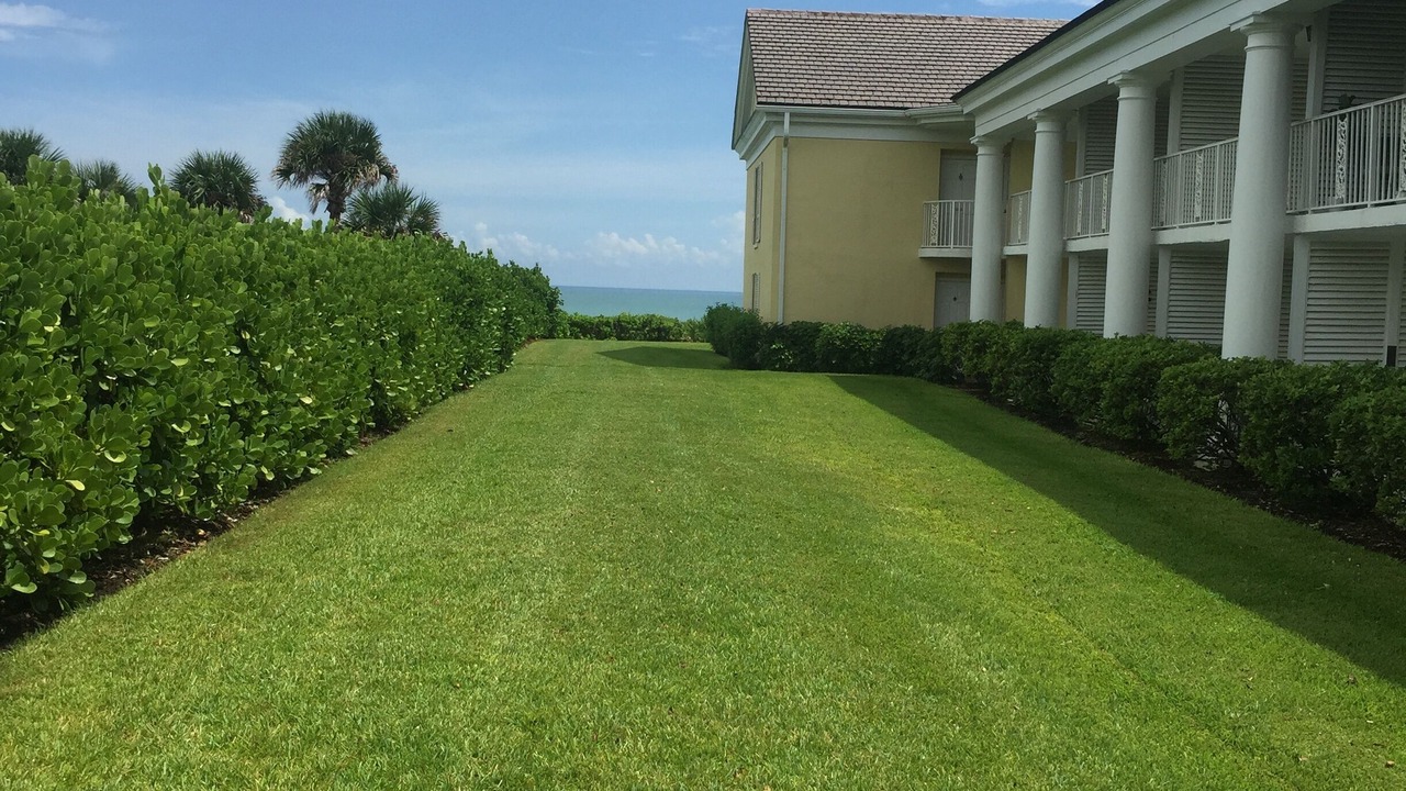 Photo of Outdoor in Johns Island
