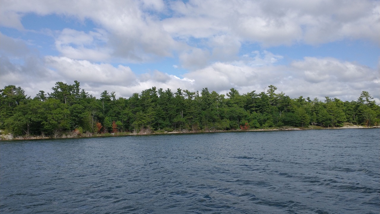 Photo of Others in The Archipelago