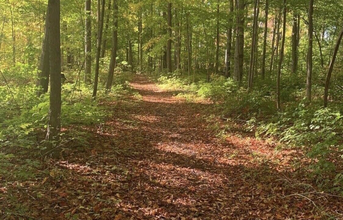 Photo of Outdoor in Cherry Valley