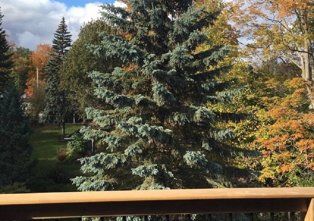 Photo of Outdoor in Orillia