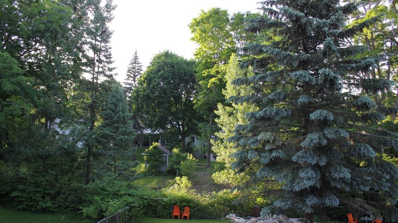 Photo of Outdoor in Orillia