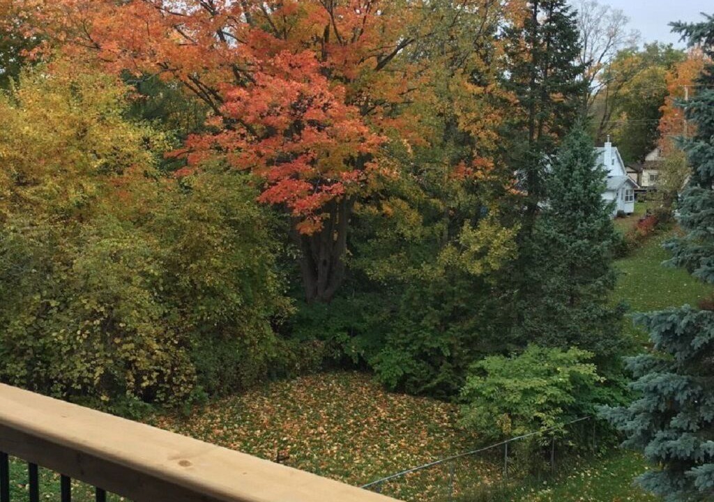 Photo of Outdoor in Orillia