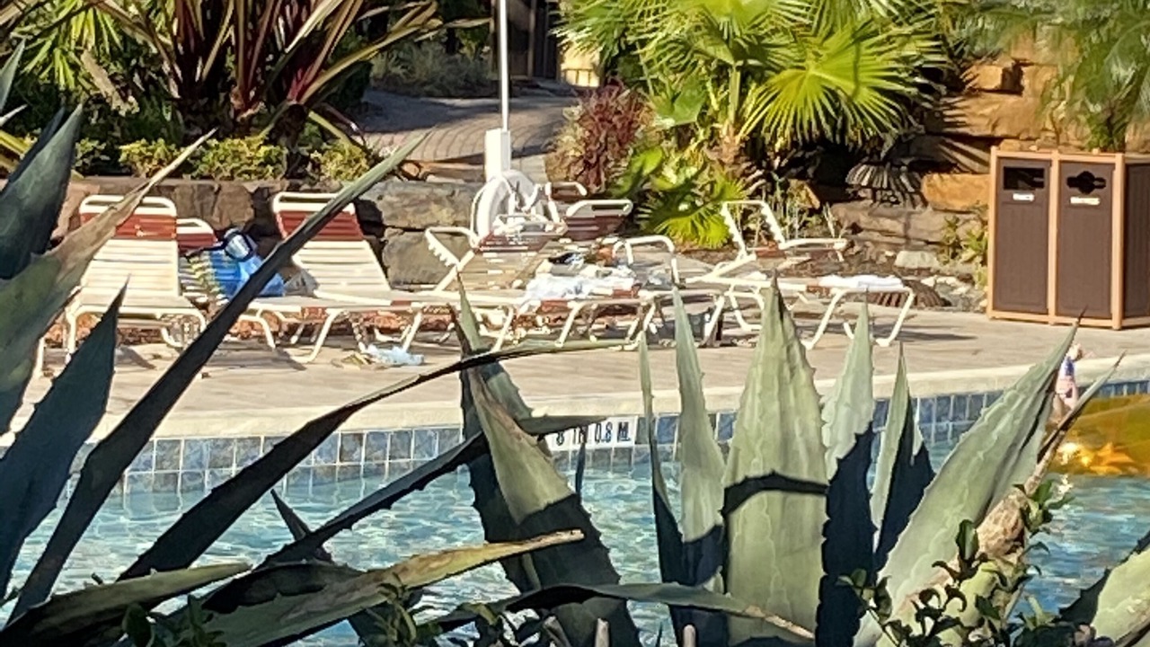 Photo of Outdoor in Orange Lake