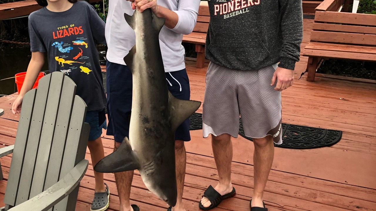 Photo of Outdoor in Apollo Beach