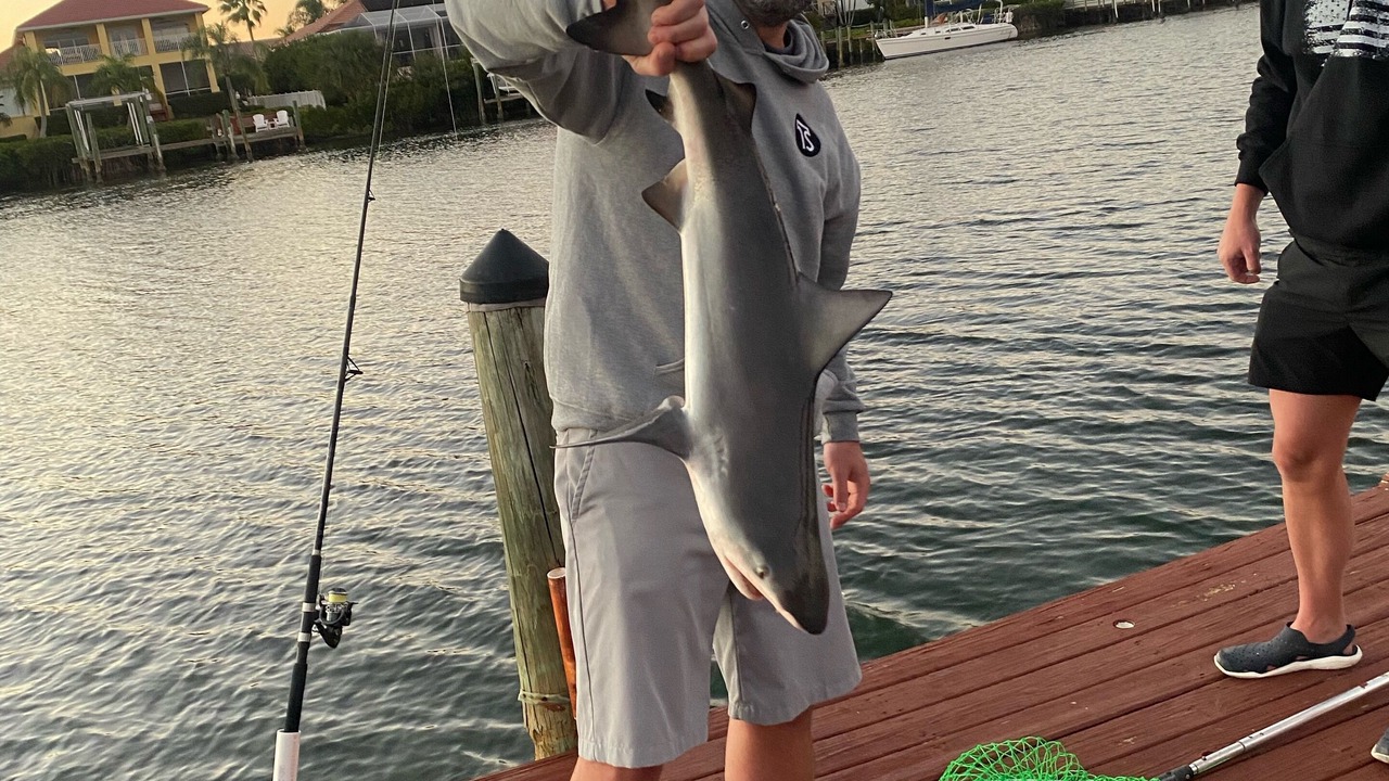 Photo of Others in Apollo Beach