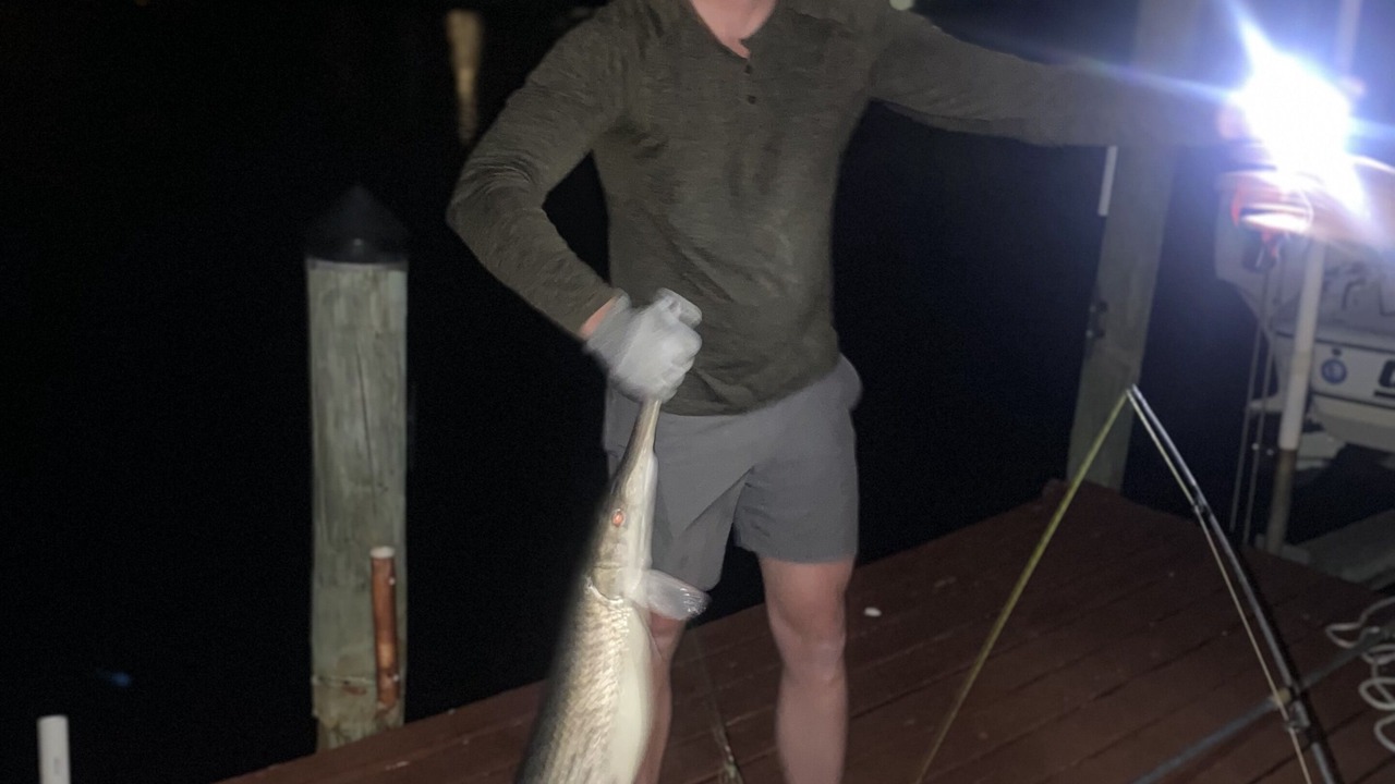 Photo of Outdoor in Apollo Beach