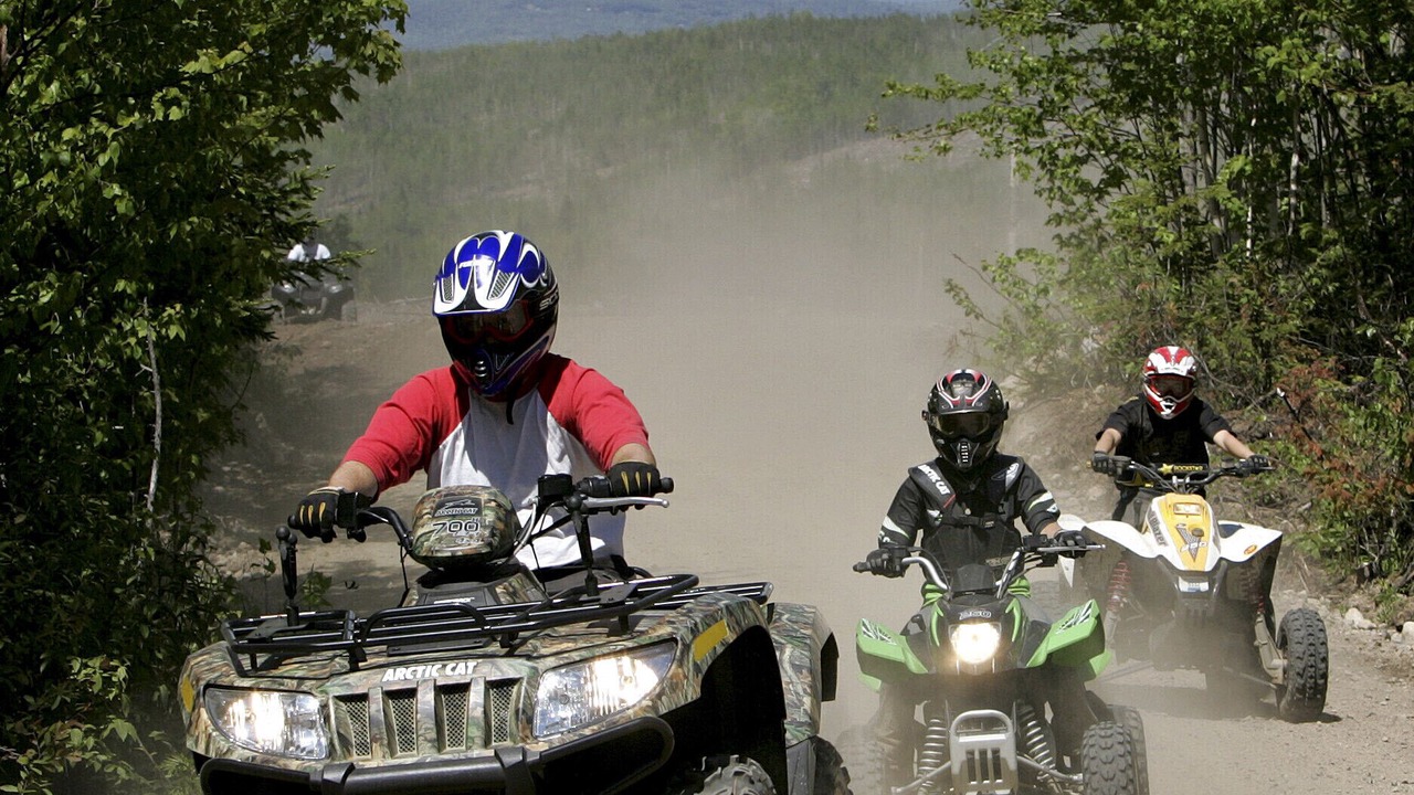 Photo of Others in Snow Shoe