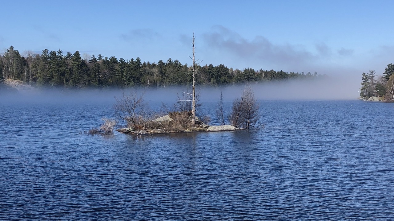Photo of Others in Georgian Bay