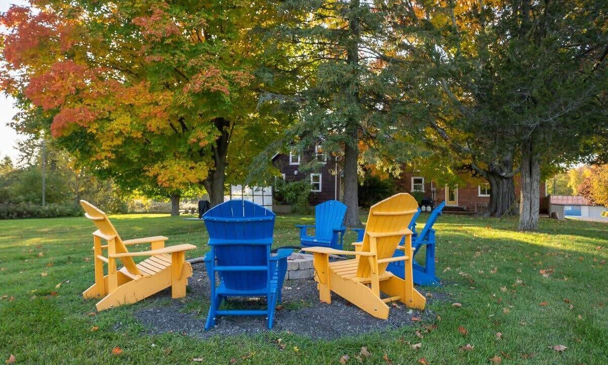 Photo of Outdoor in Picton