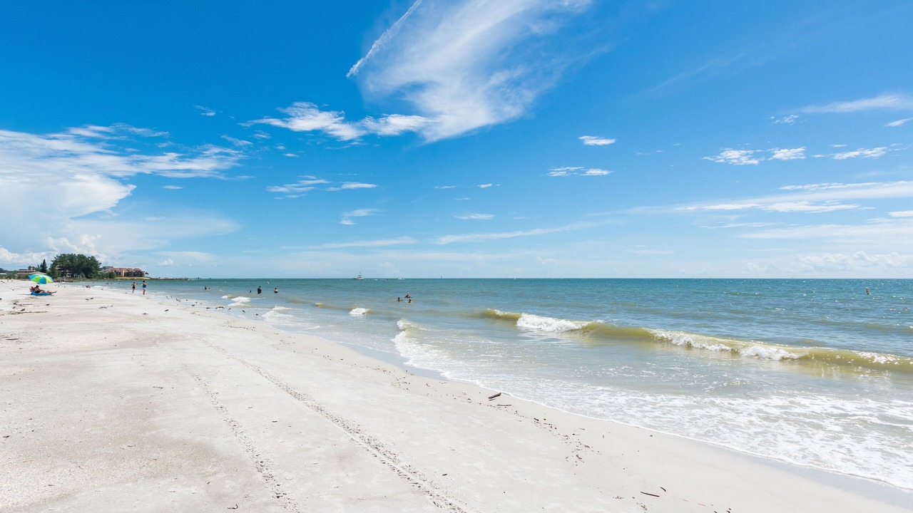 Photo of Others in St. Petersburg - Clearwater