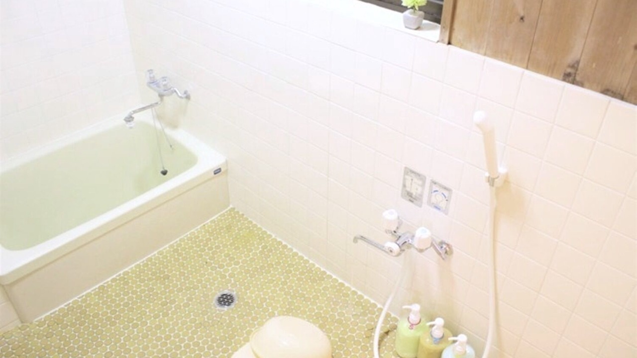 Photo of Bathroom in Yamanakako