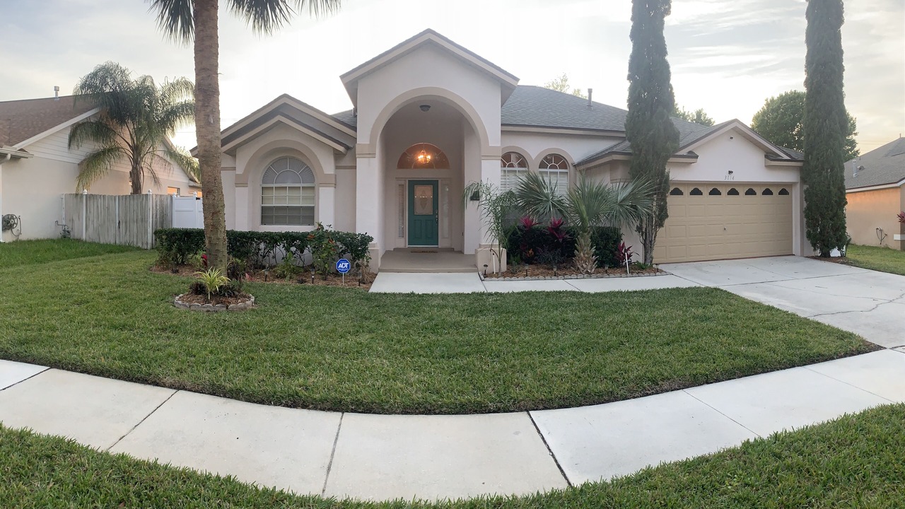Photo of Outdoor in Orange Tree