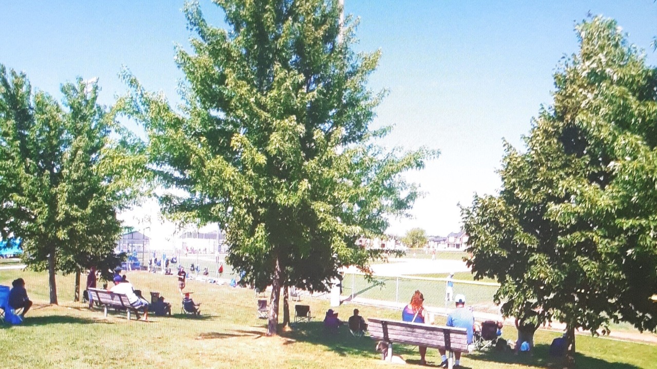 Photo of Outdoor in Aurora