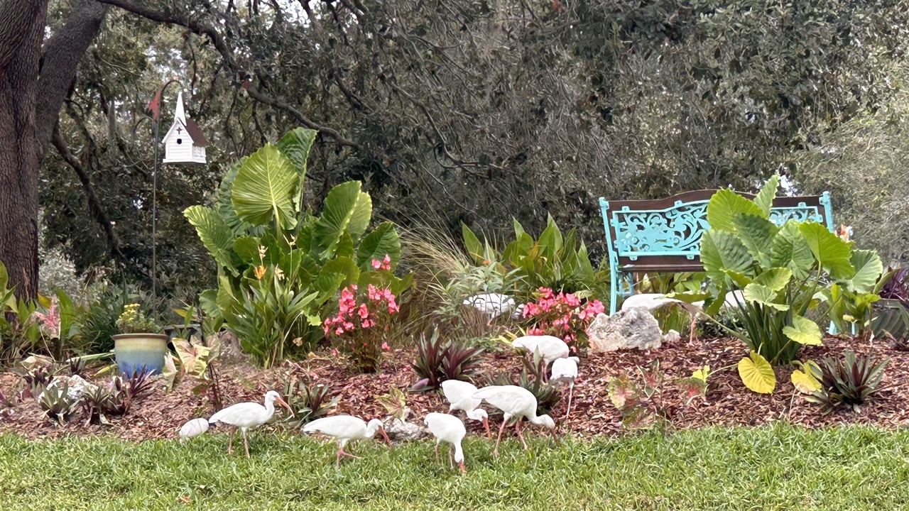 Photo of Outdoor in Glenbrook