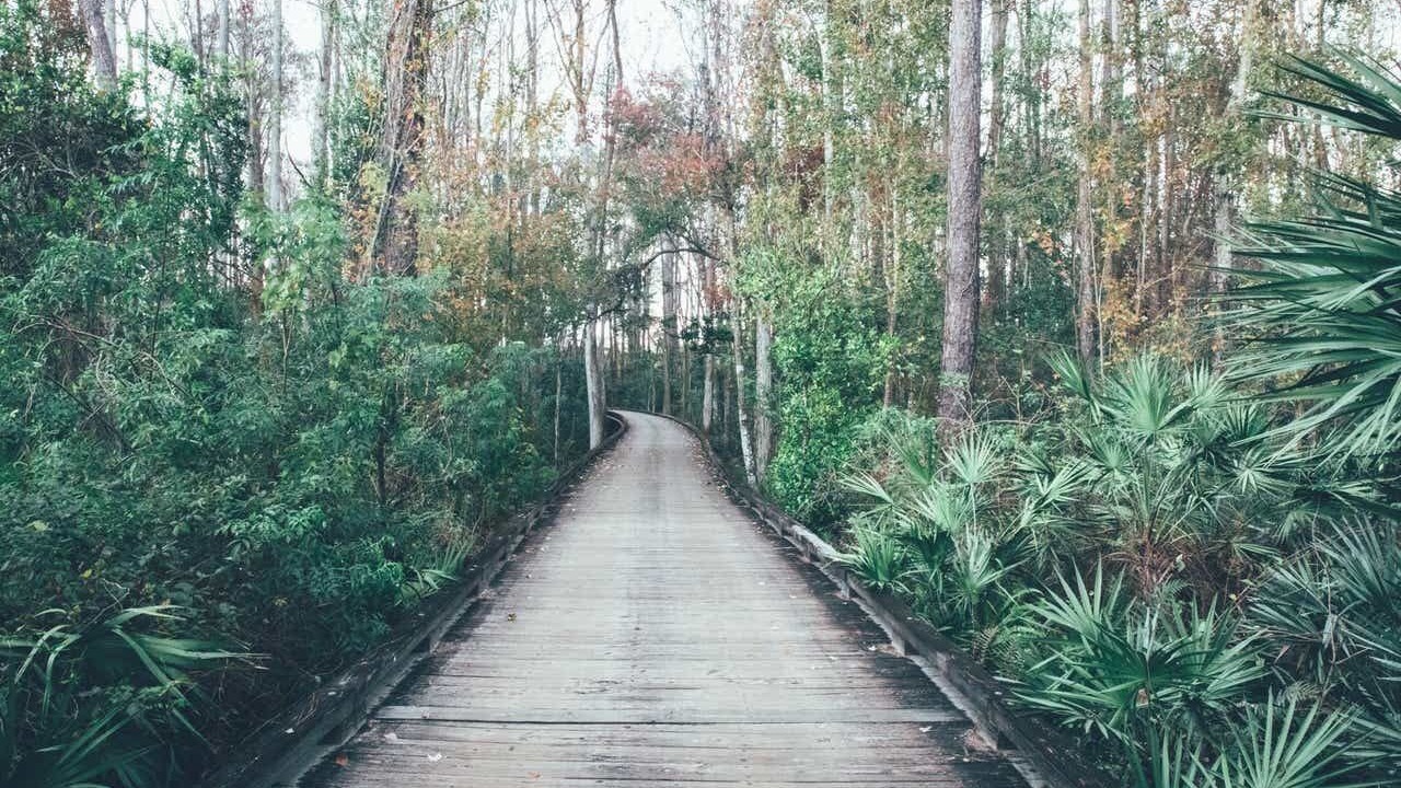 Photo of Outdoor in Orange Lake