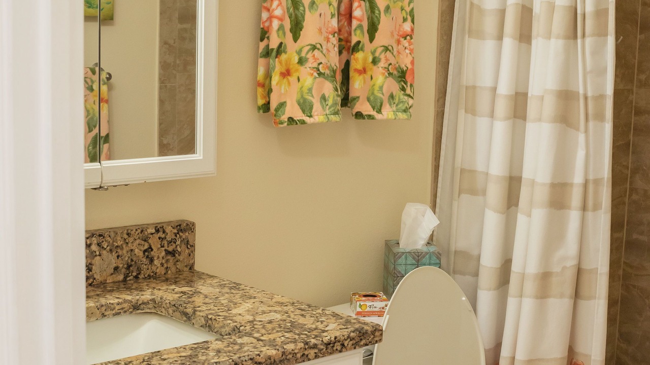 Photo of Bathroom in Safety Harbor