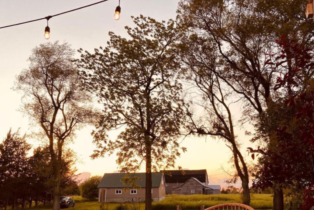 Photo of Others in Bongard