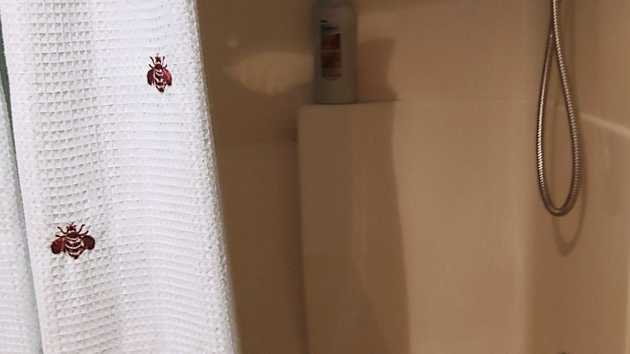 Photo of Bathroom in Keystone
