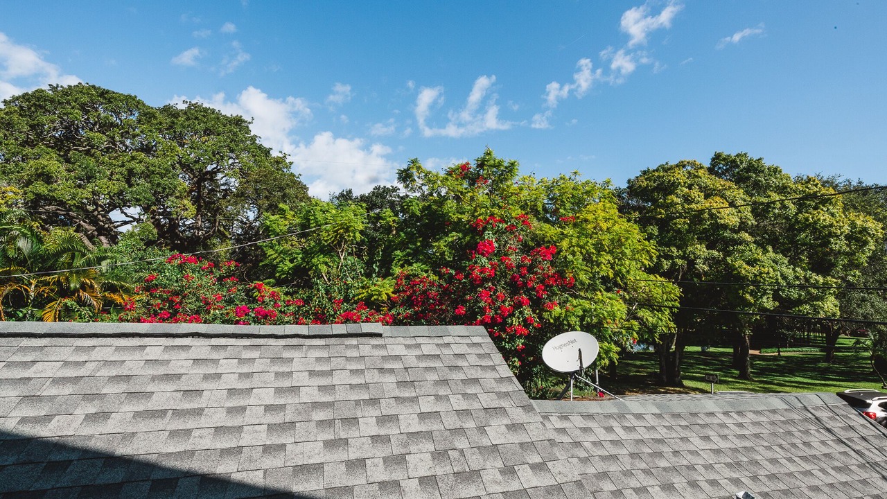 Photo of Outdoor in Historic Old Northeast