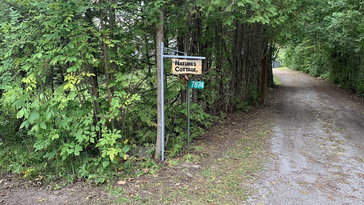 Photo of Others in Washago