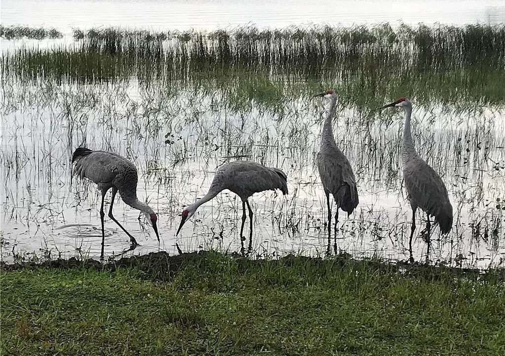 Photo of Others in Winter Haven