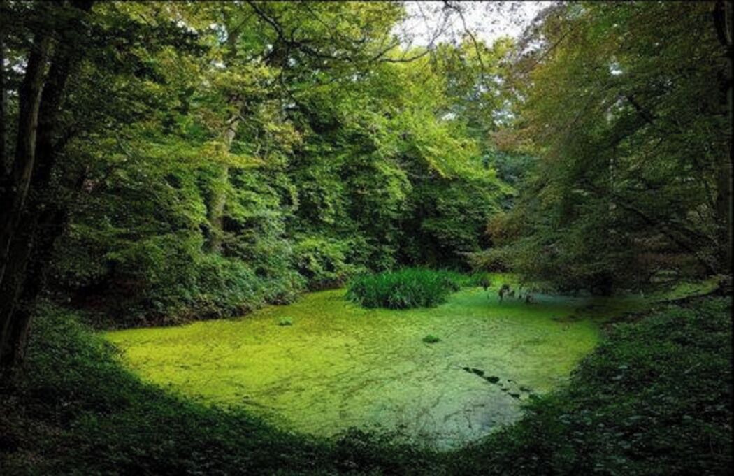 Photo of Outdoor in Le Bois de Gaumont