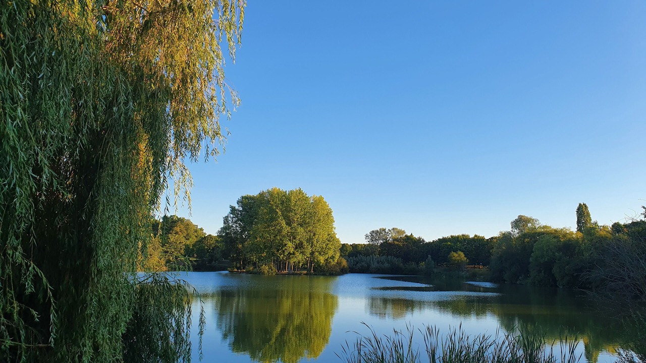 Photo of Outdoor in Le Bois de Gaumont