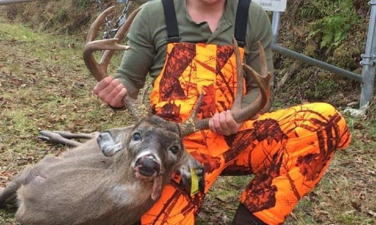 Photo of Others in Coudersport