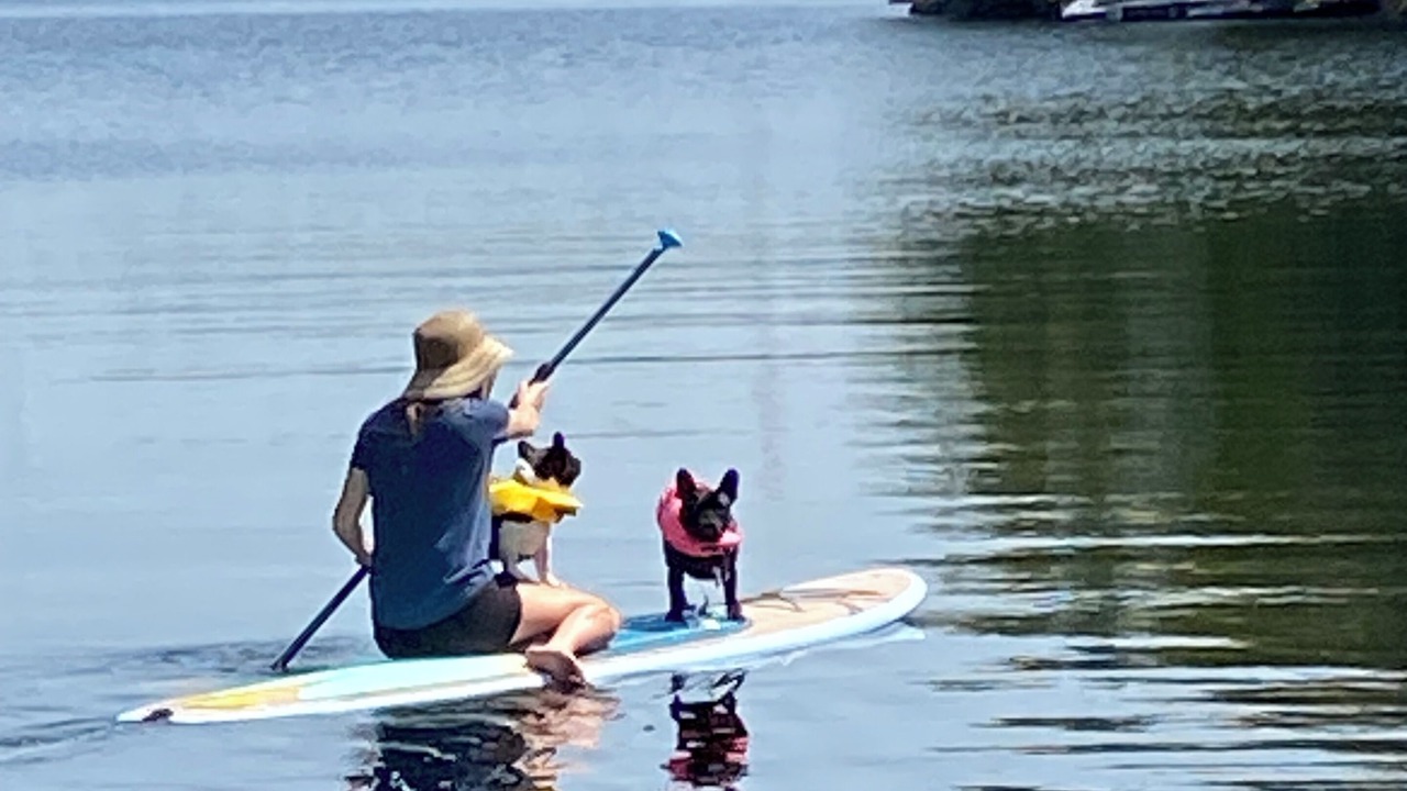 Photo of Others in Muskoka Lakes