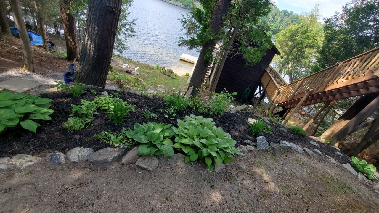 Photo of Outdoor in Rosseau