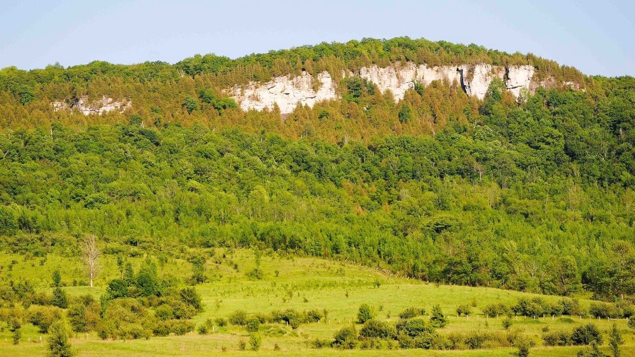Photo of Others in Markdale