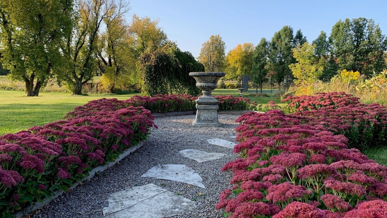 Photo of Outdoor in Creemore