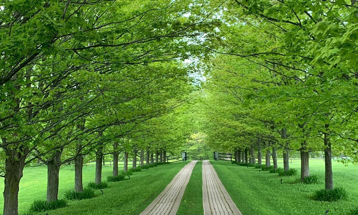 Photo of Outdoor in Creemore
