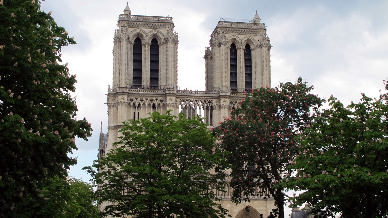Photo of Others in Sorbonne