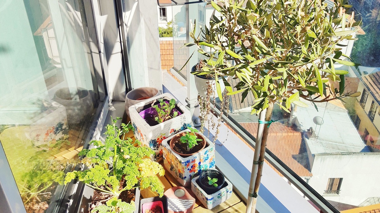 Photo of Outdoor in Charonne