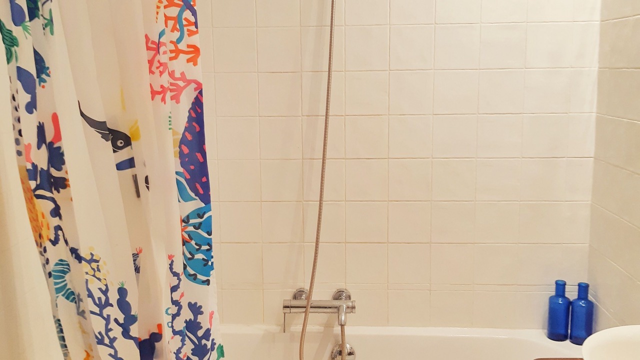 Photo of Bathroom in Charonne