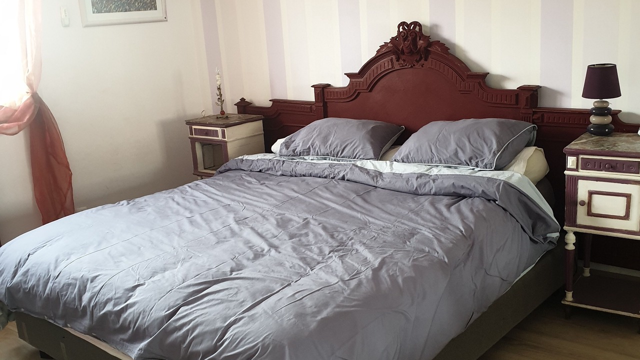 Photo of Bedroom in Tremblay-en-France