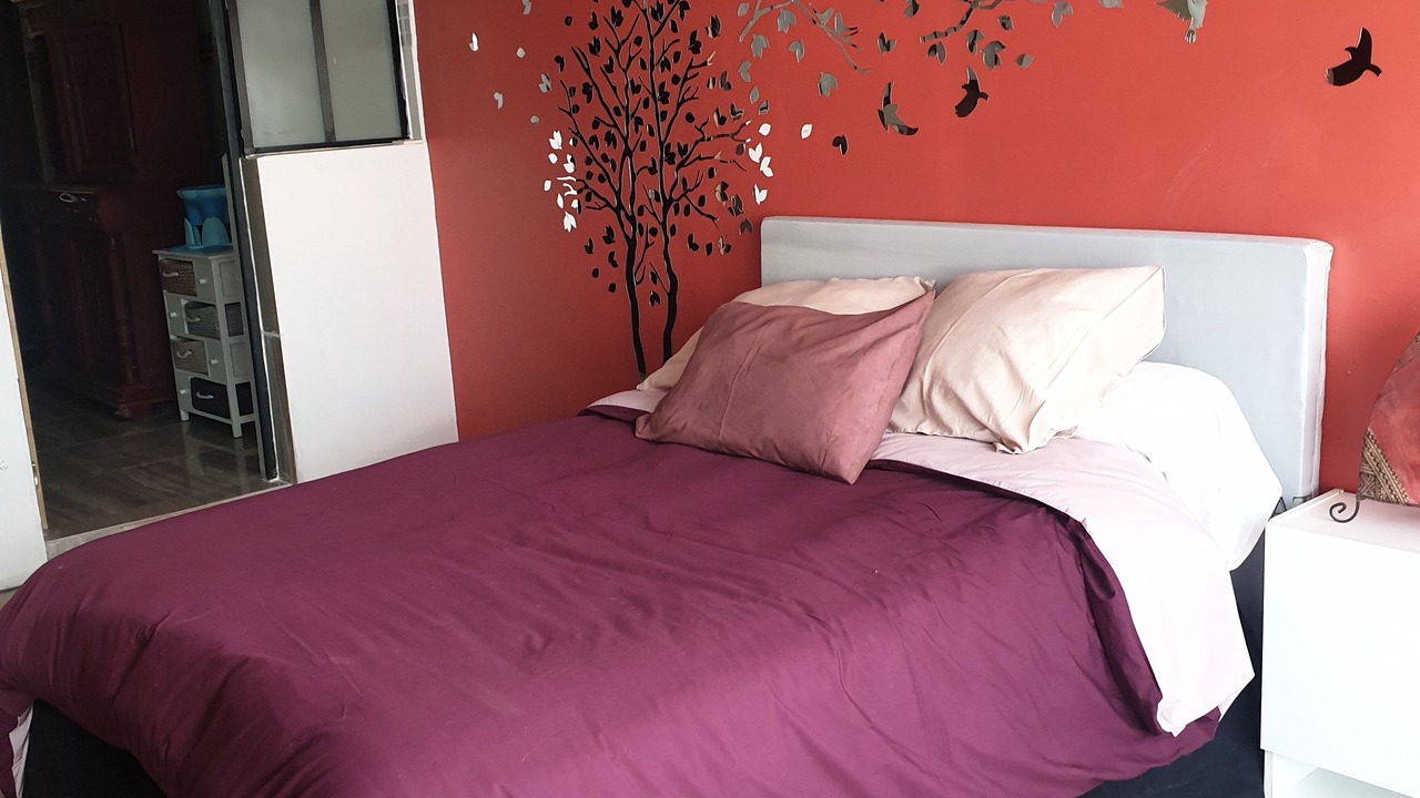 Photo of Bedroom in Tremblay-en-France