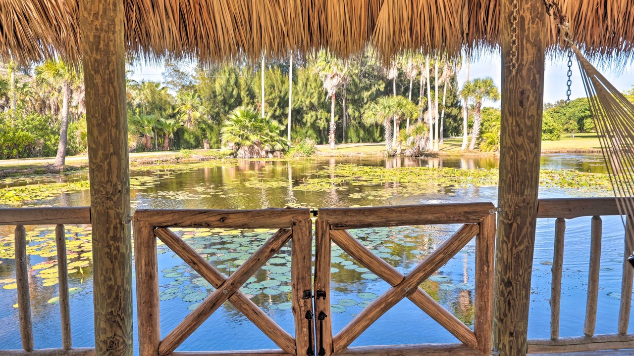 Photo of Others in Tropic