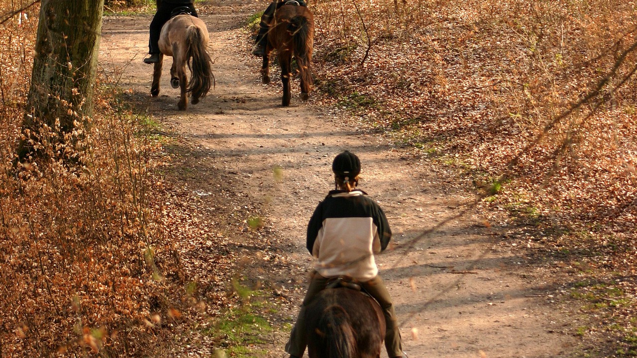 Photo of Others in LaFayette