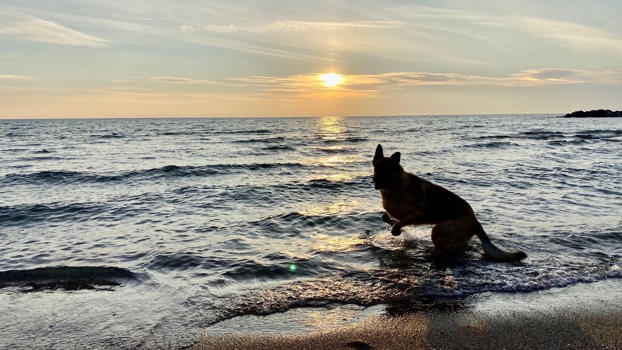 Photo of Others in Balm Beach