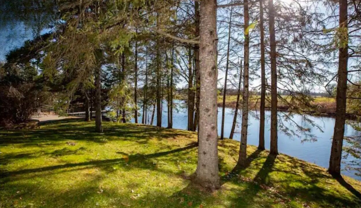 Photo of Outdoor in McKellar