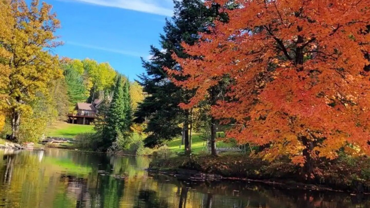 Photo of Outdoor in McKellar