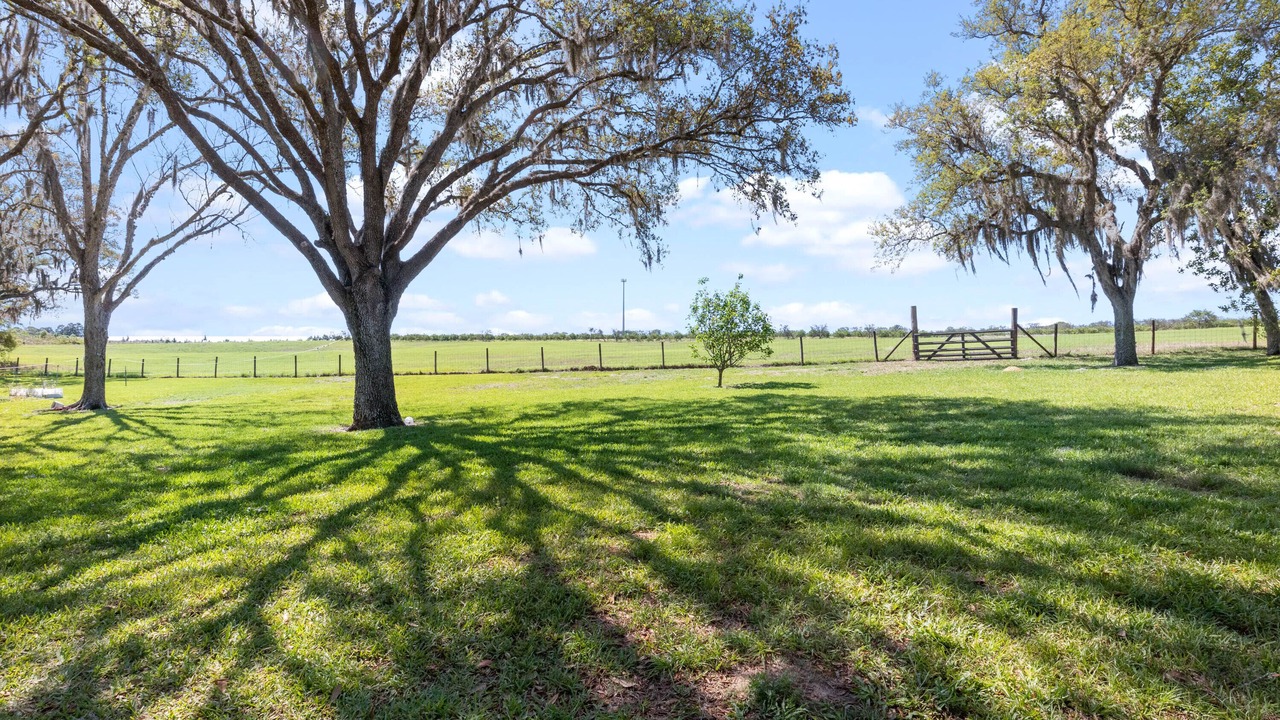 Photo of Outdoor in Winter Garden
