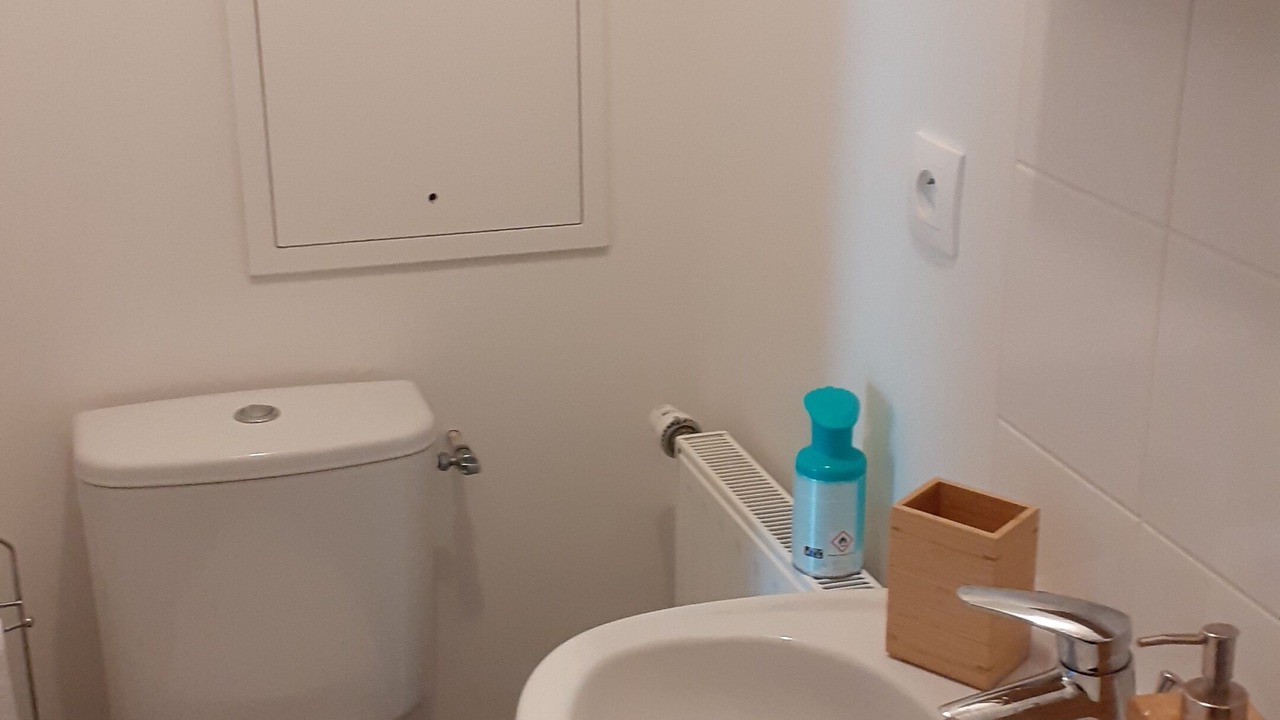 Photo of Bathroom in Aubervilliers