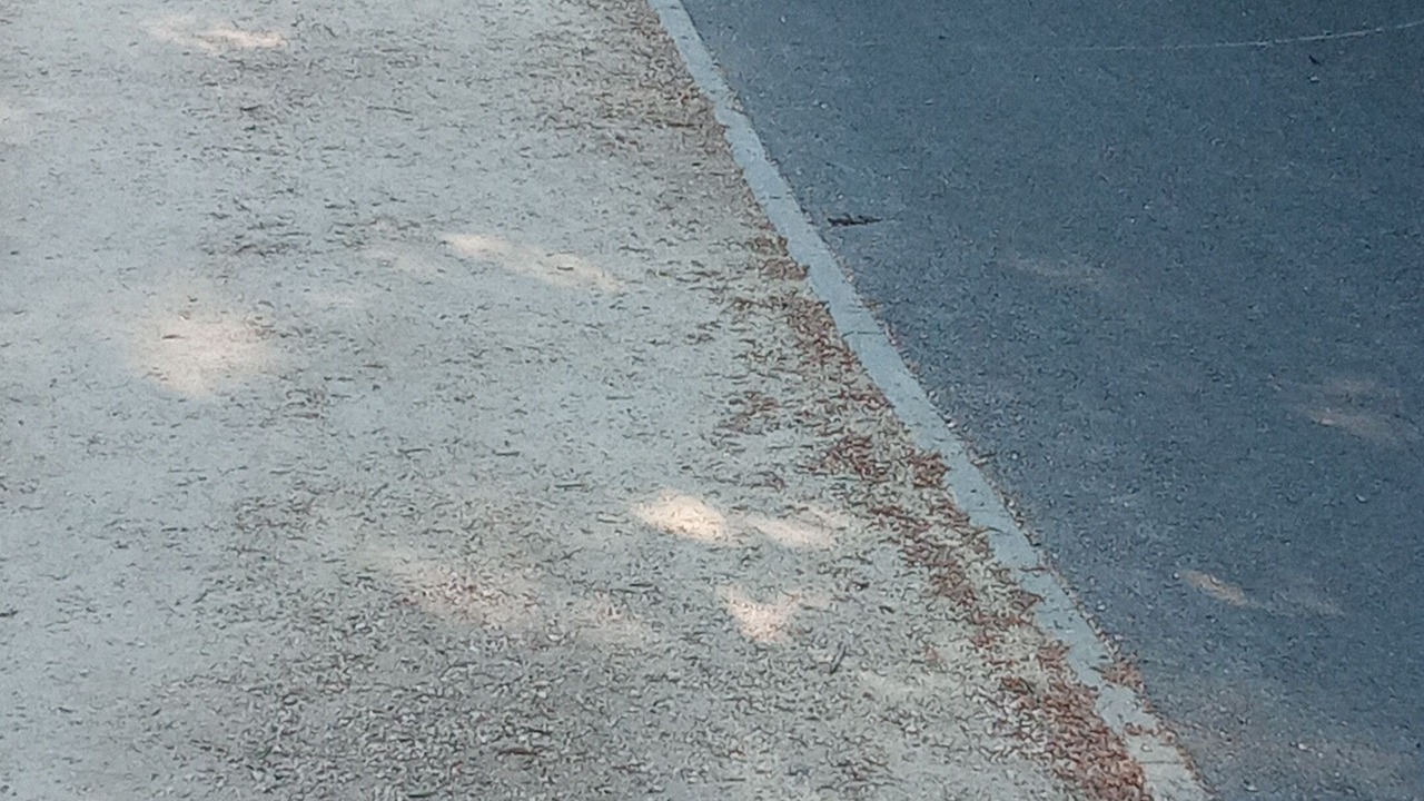 Photo of Outdoor in Noisy-le-Grand