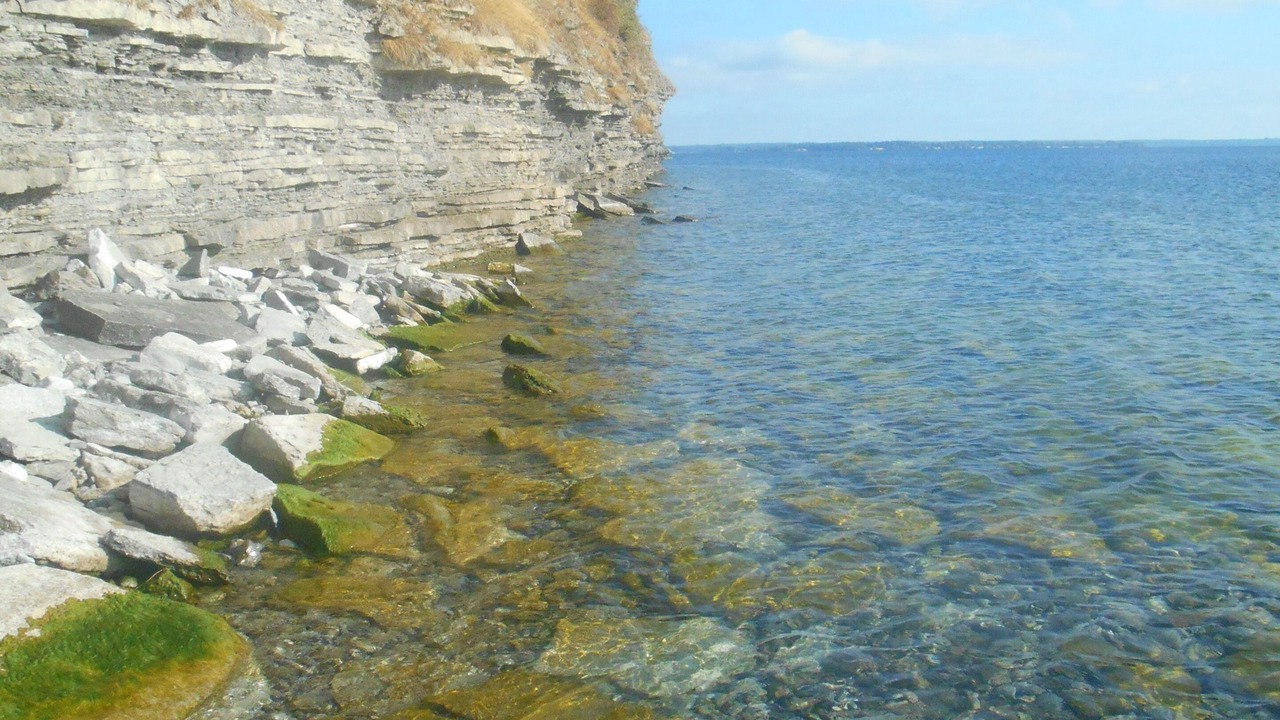 Photo of Others in Milford
