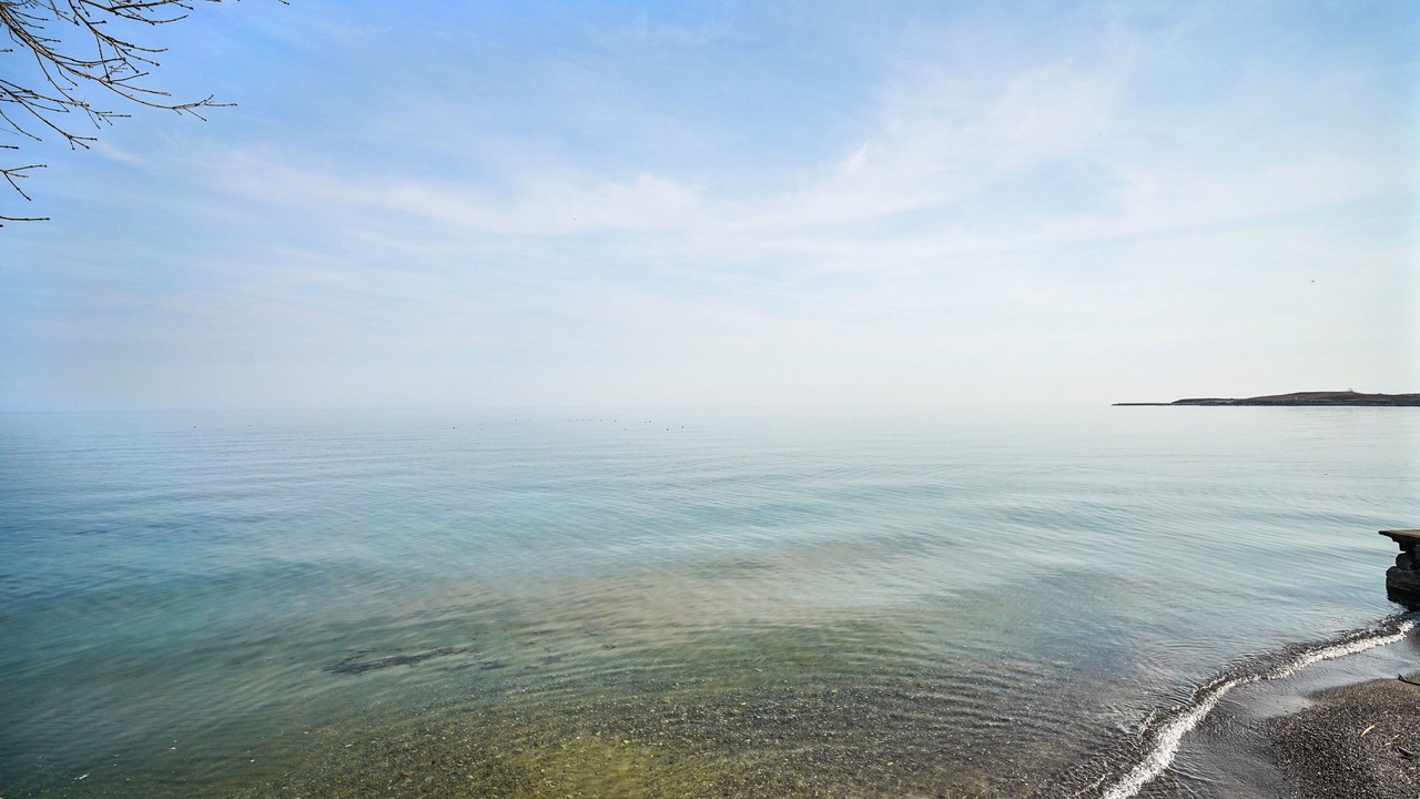 Photo of Others in Long Branch