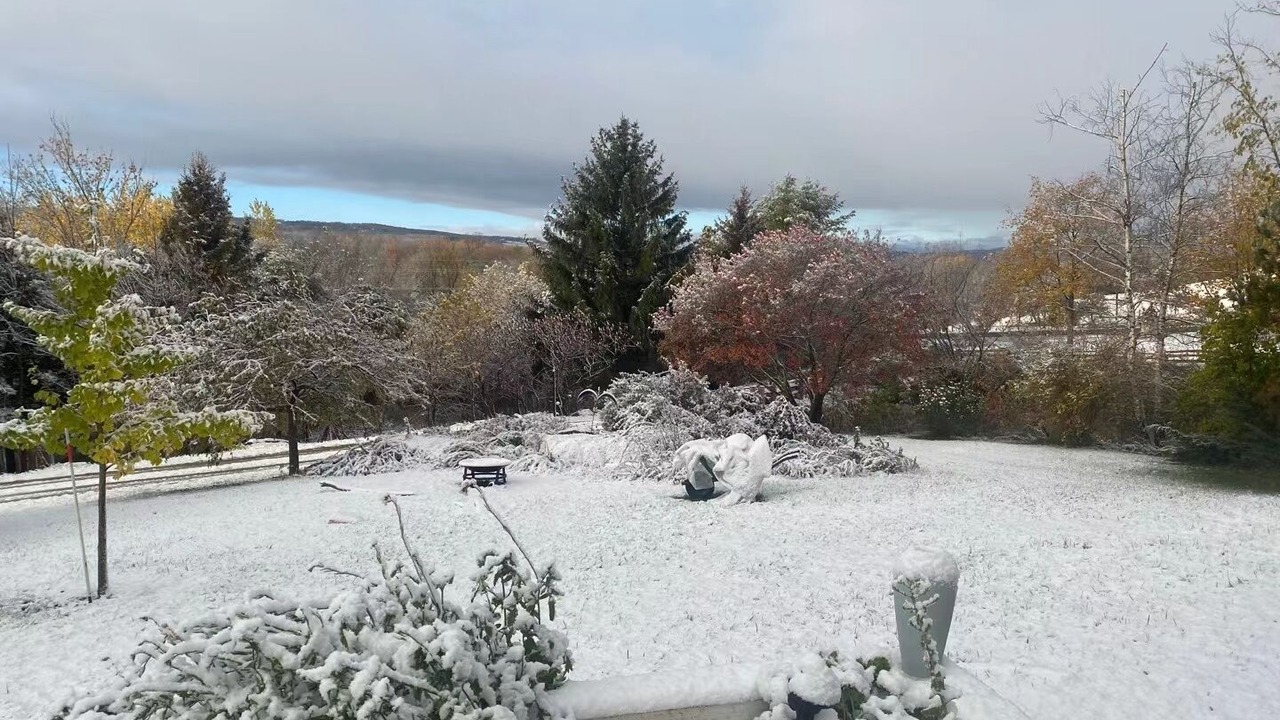 Photo of Outdoor in Creemore